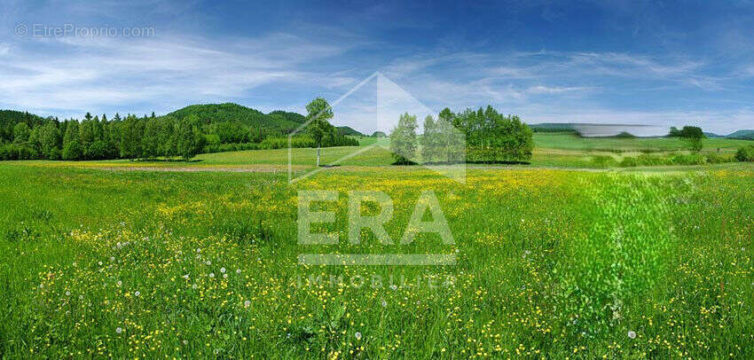 Terrain à BENESSE-MAREMNE