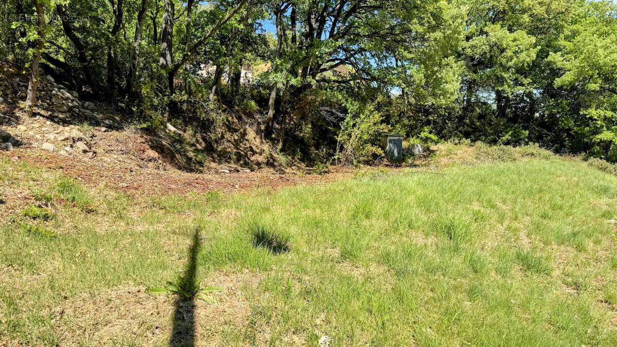 Terrain à PUYLOUBIER