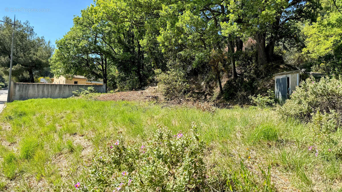 Terrain à PUYLOUBIER