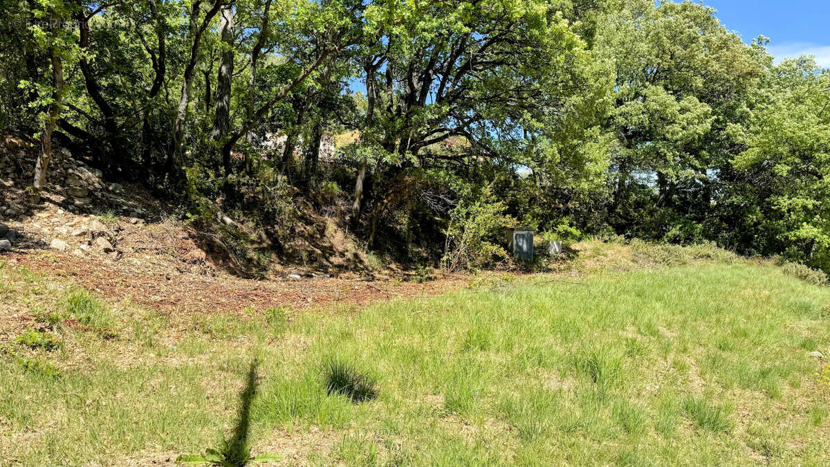 Terrain à PUYLOUBIER