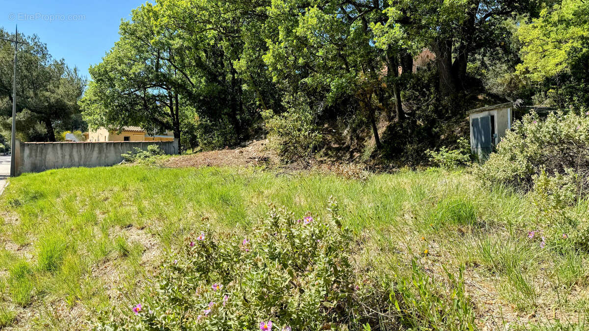 Terrain à PUYLOUBIER
