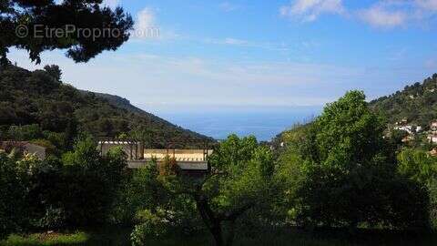 Terrain à LA TURBIE