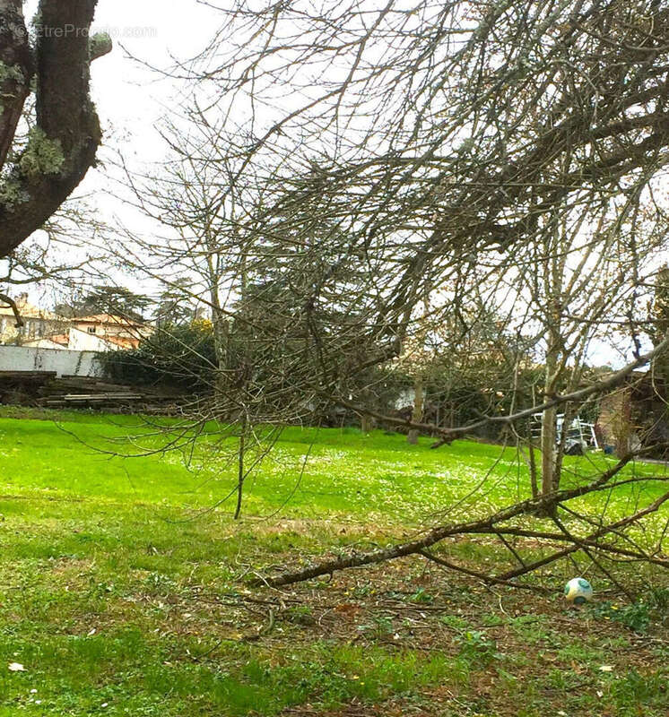 Terrain à LIBOURNE