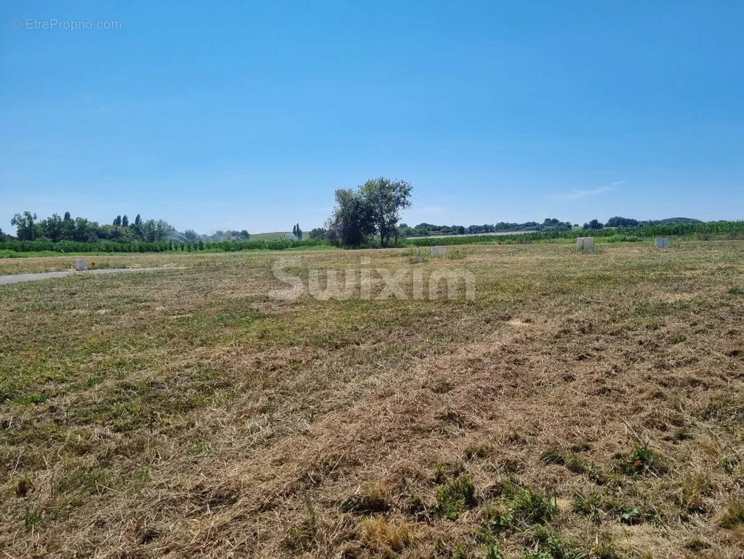 Terrain à LABETS-BISCAY