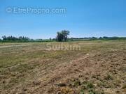 Terrain à LABETS-BISCAY