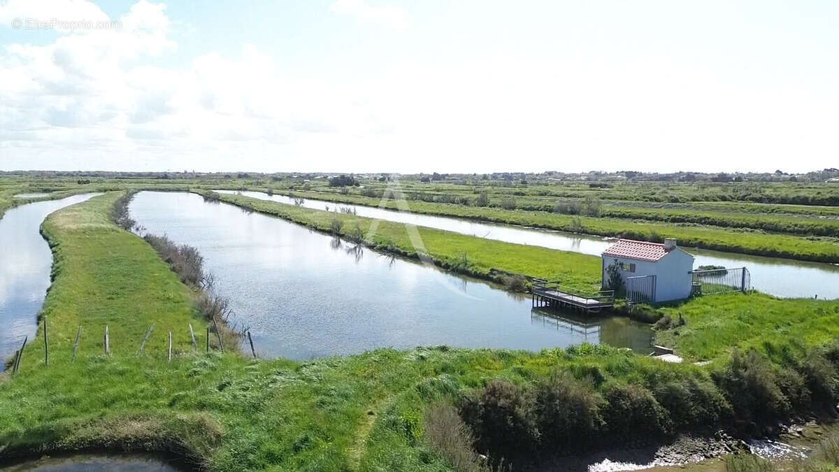 Terrain à SAINT-HILAIRE-DE-RIEZ