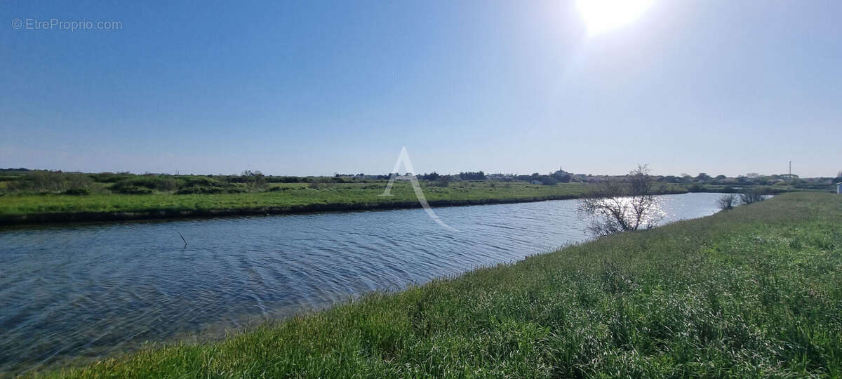 Terrain à SAINT-HILAIRE-DE-RIEZ