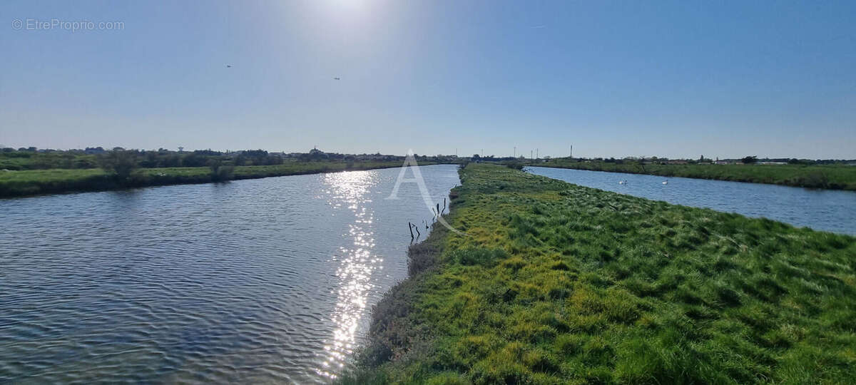 Terrain à SAINT-HILAIRE-DE-RIEZ