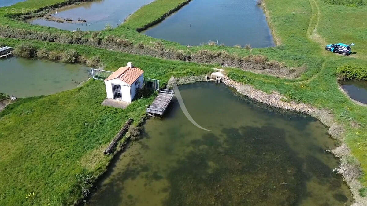 Terrain à SAINT-HILAIRE-DE-RIEZ