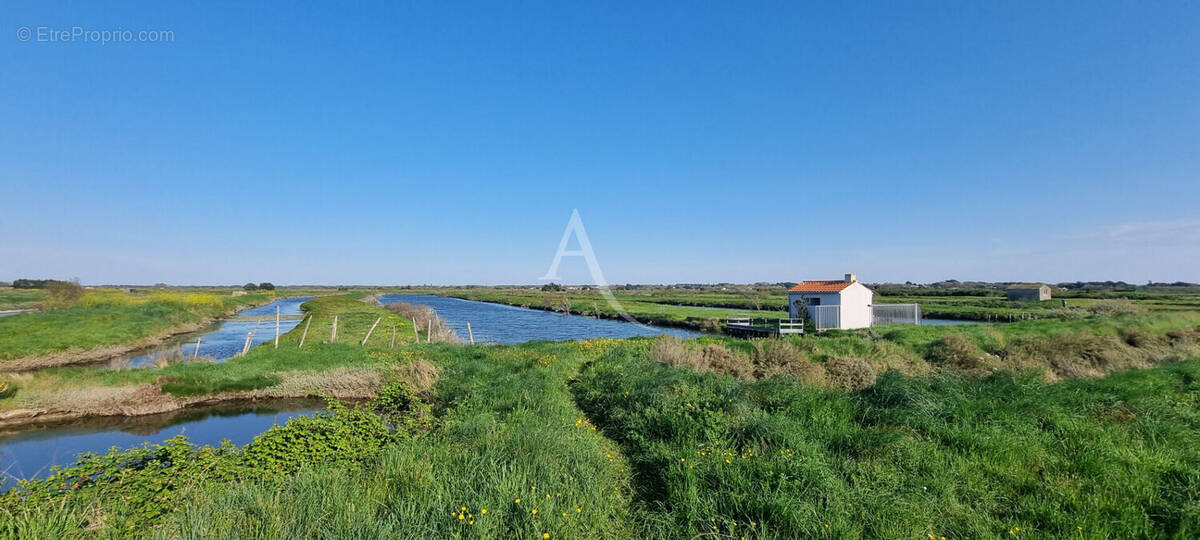 Terrain à SAINT-HILAIRE-DE-RIEZ