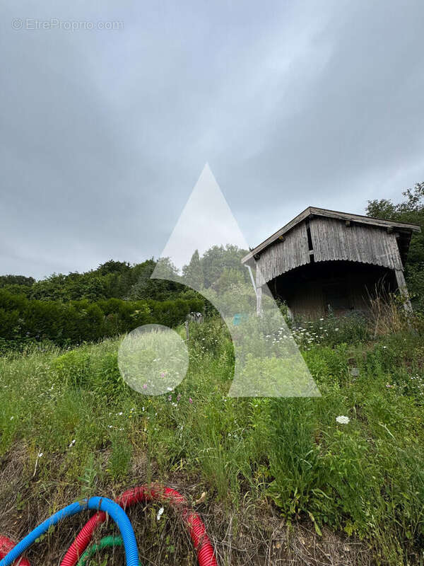 Terrain à NEUFCHATEAU