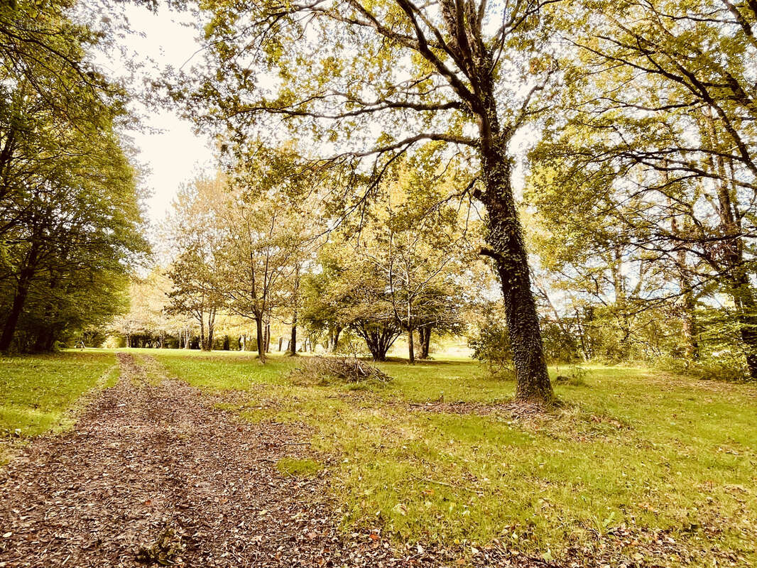 Maison à LE VIGEANT
