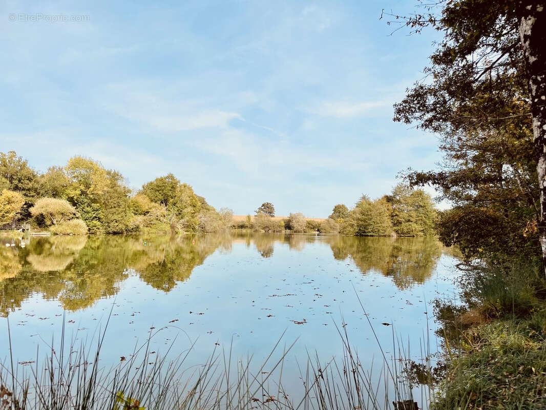 Maison à LE VIGEANT