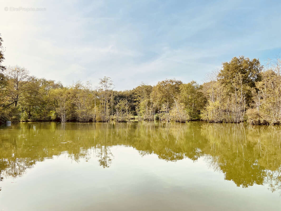 Maison à LE VIGEANT