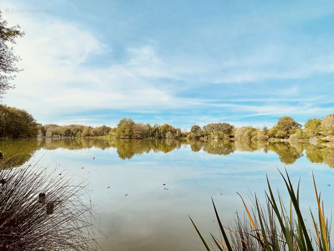Maison à LE VIGEANT