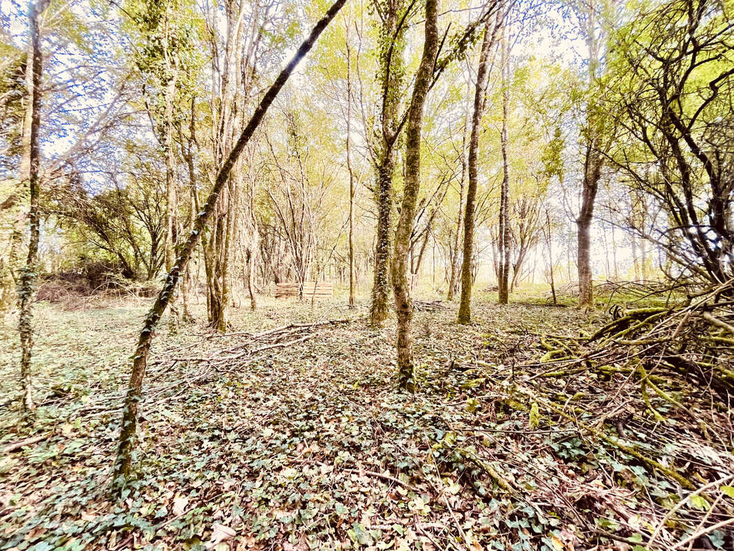Maison à LE VIGEANT