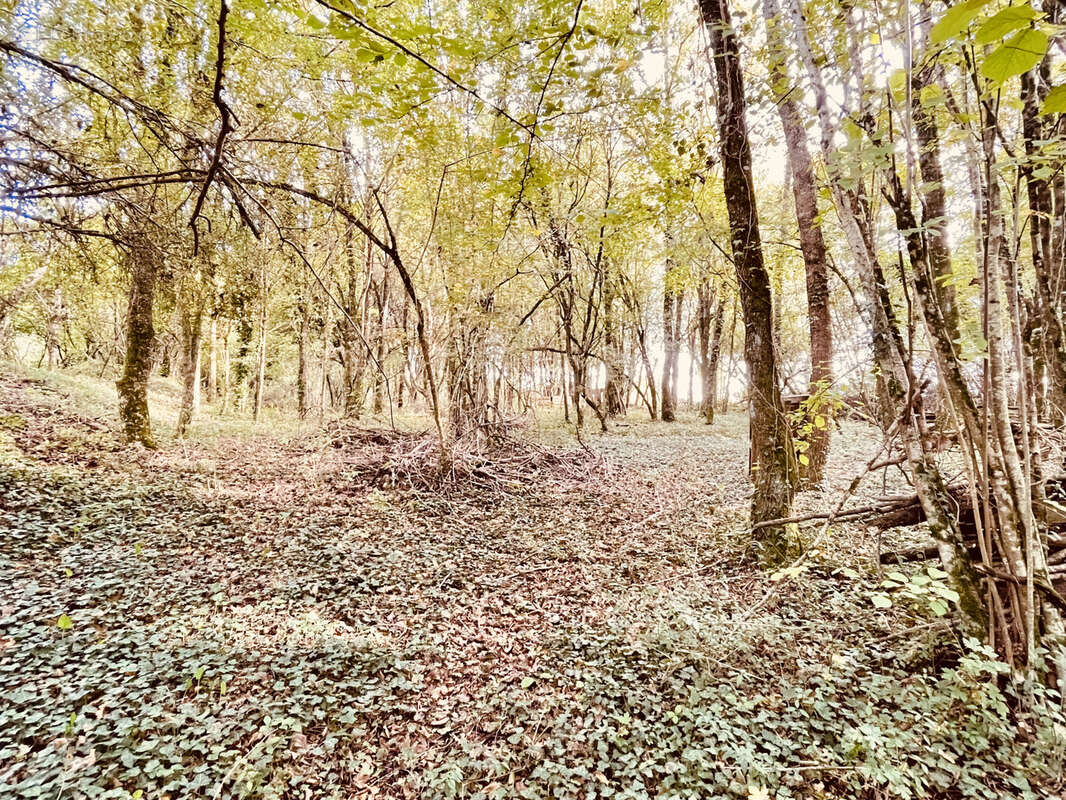 Maison à LE VIGEANT