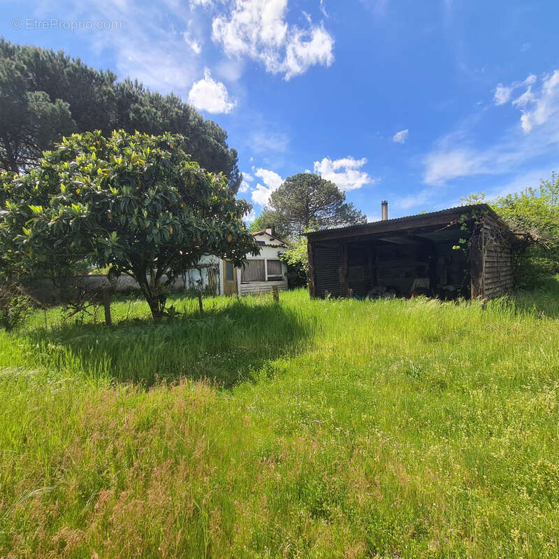 Maison à SAINT-JULIEN-EN-BORN