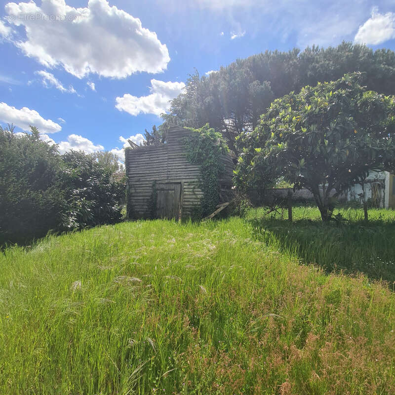 Maison à SAINT-JULIEN-EN-BORN