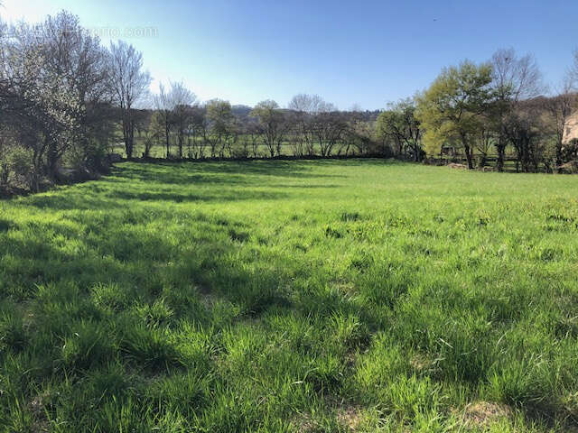 Terrain à TOULONJAC