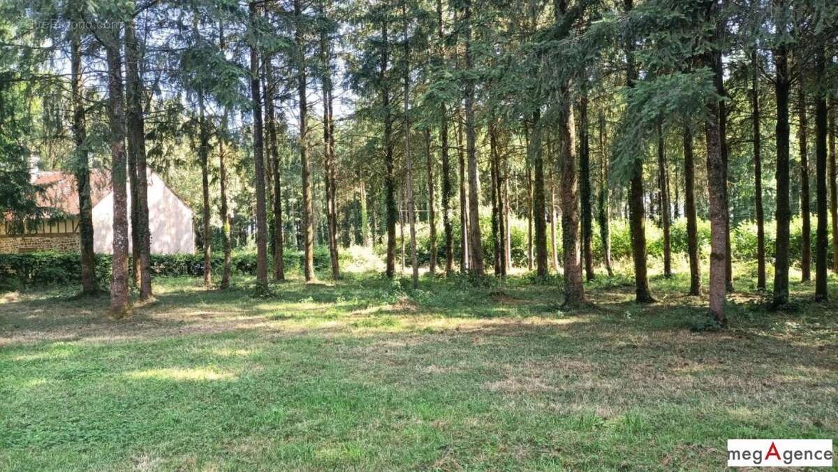 Maison à LIGNIERES-ORGERES