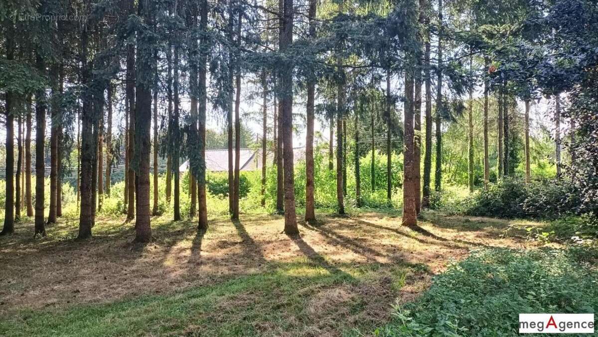 Maison à LIGNIERES-ORGERES