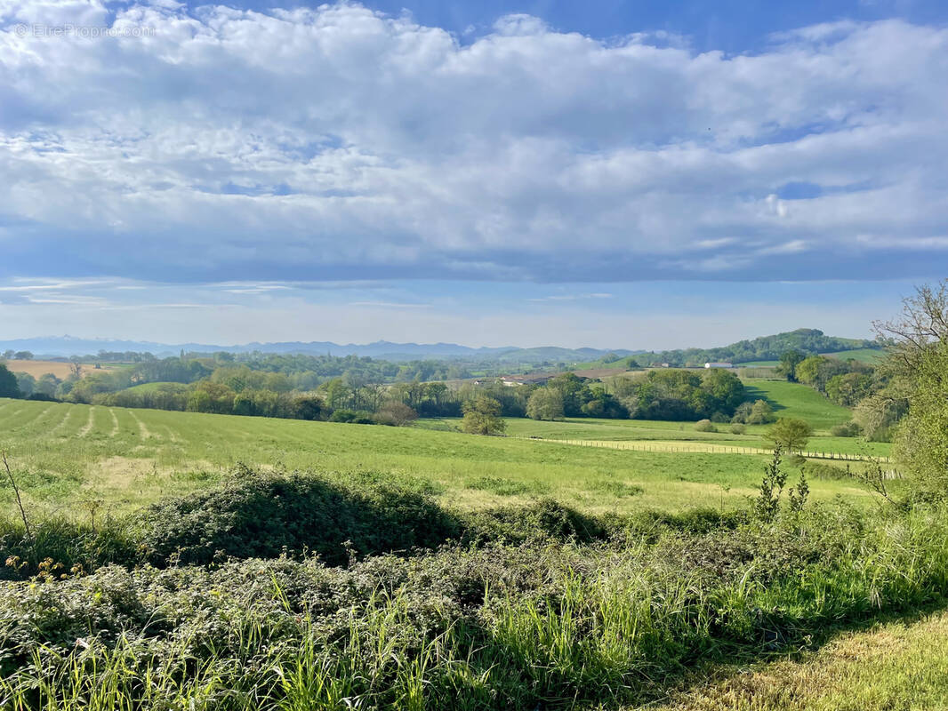 Terrain à ARRAUTE-CHARRITTE