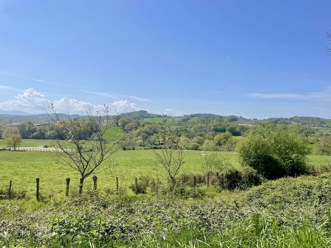 Terrain à ARRAUTE-CHARRITTE