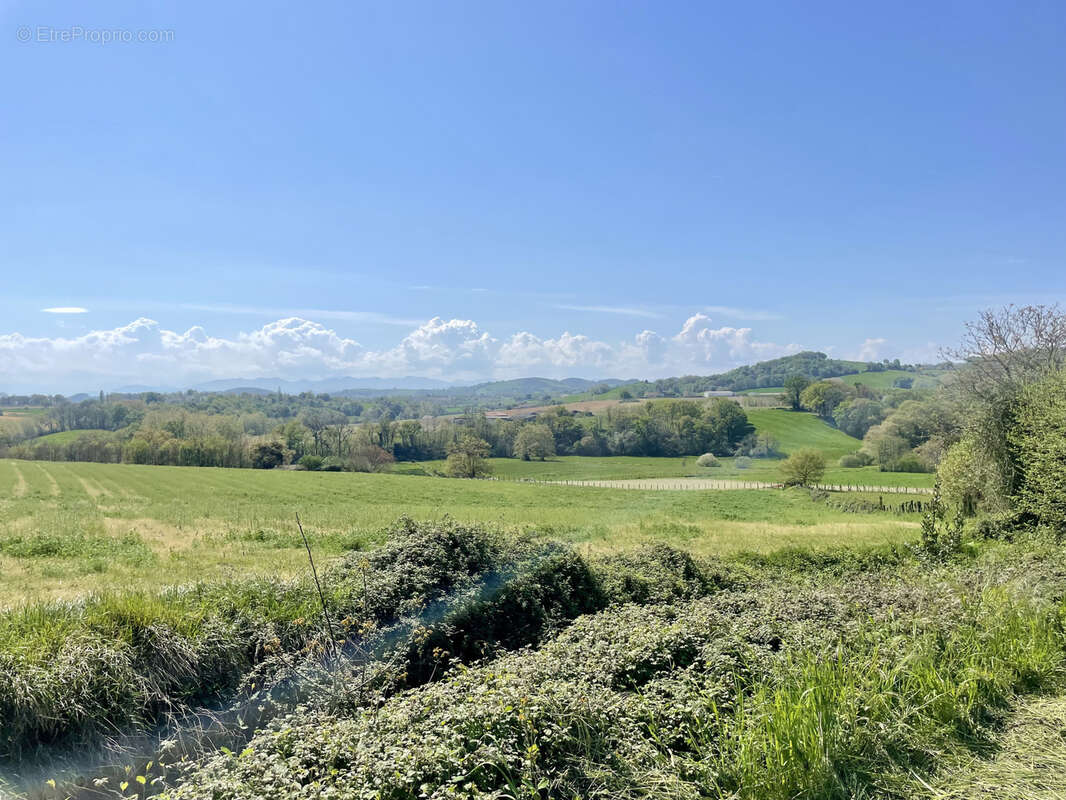 Terrain à ARRAUTE-CHARRITTE