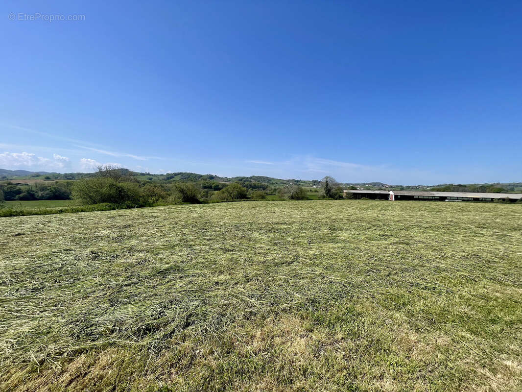 Terrain à ARRAUTE-CHARRITTE