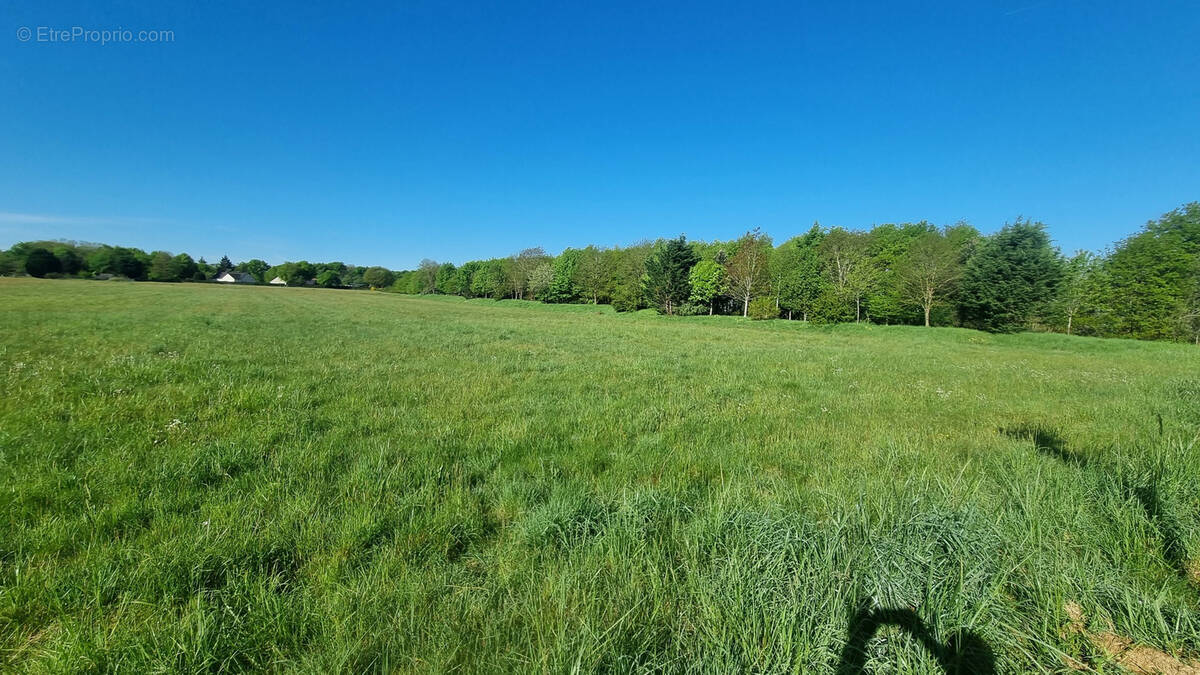 Terrain à MEREAU