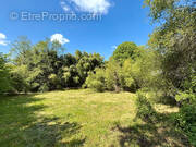 Terrain à CHINDRIEUX