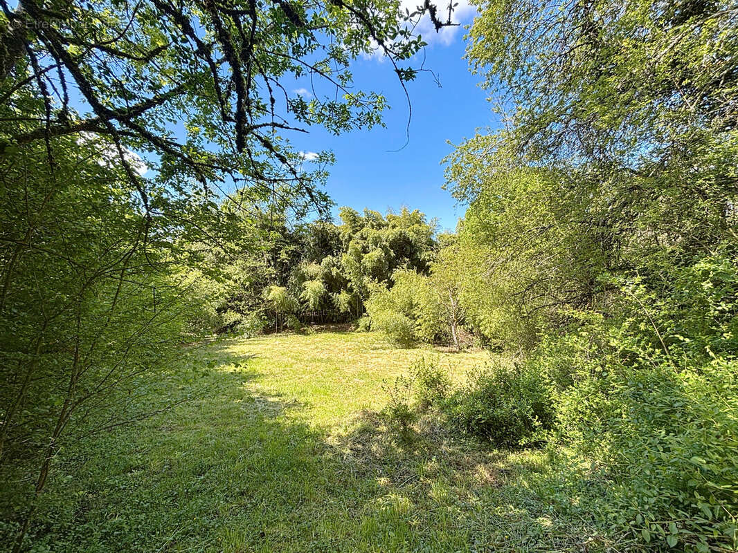 Terrain à CHINDRIEUX