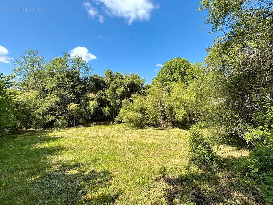 Terrain à CHINDRIEUX