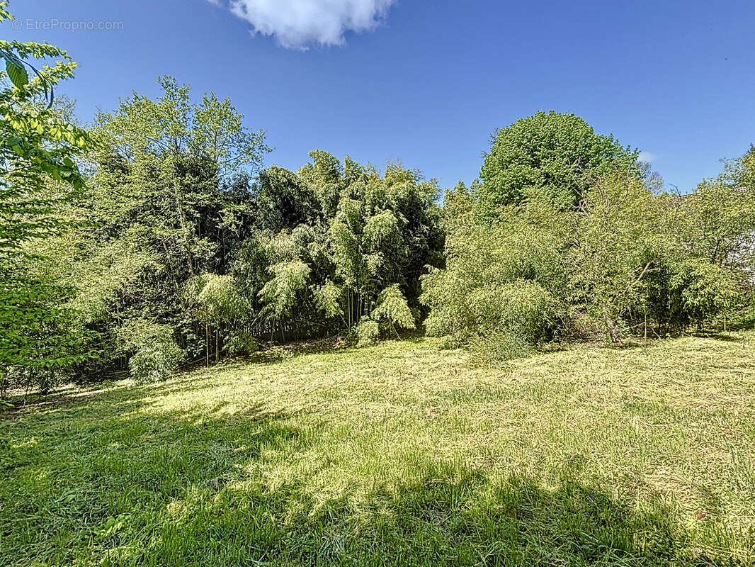 Terrain à CHINDRIEUX