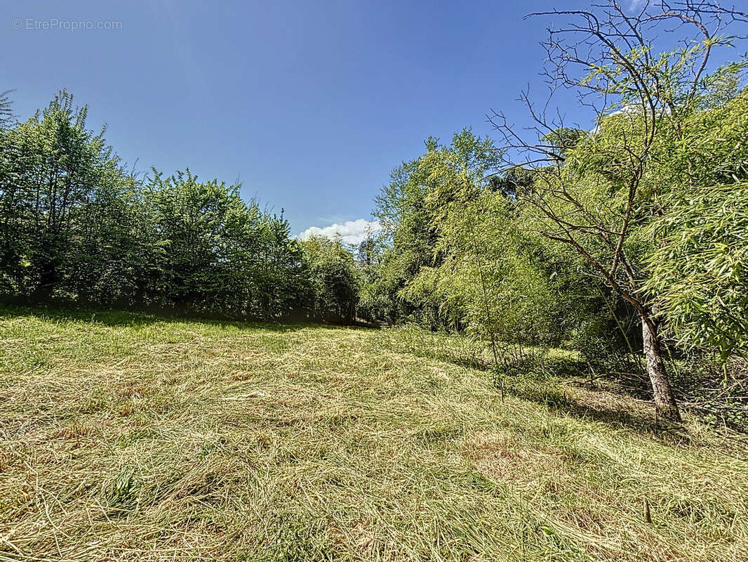 Terrain à CHINDRIEUX