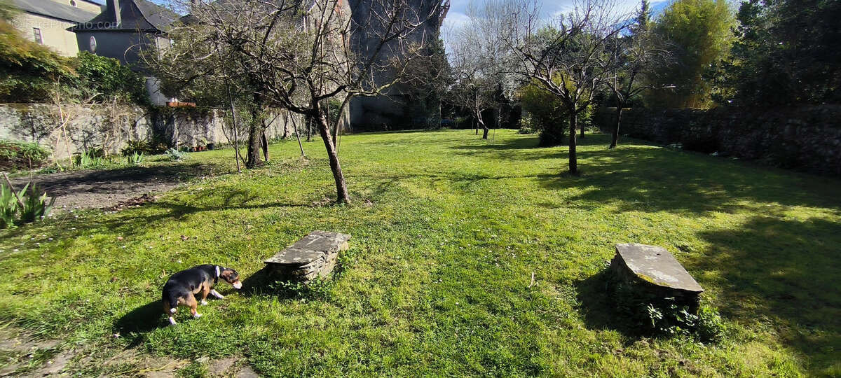 Maison à OLORON-SAINTE-MARIE