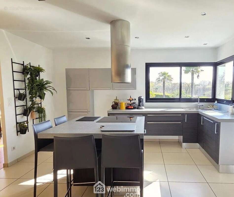 Maison à SAINT-CRICQ-CHALOSSE