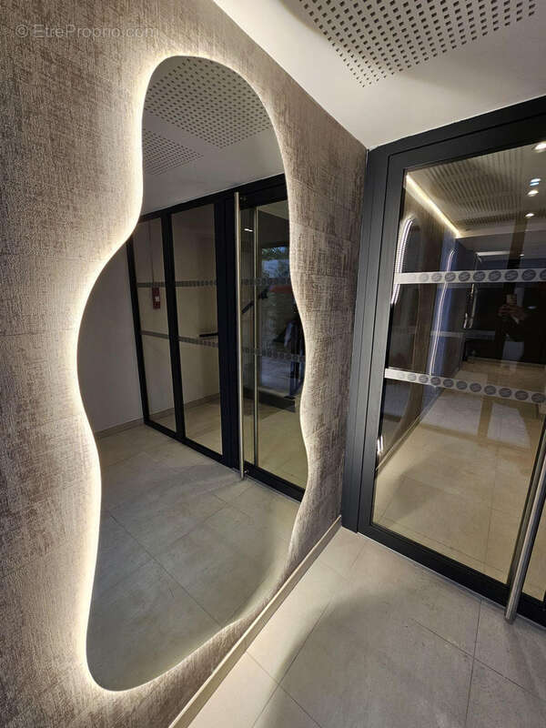 Hall d&#039;entrée - Appartement à CASTELNAU-LE-LEZ