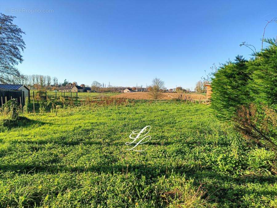 Autre à TELOCHE