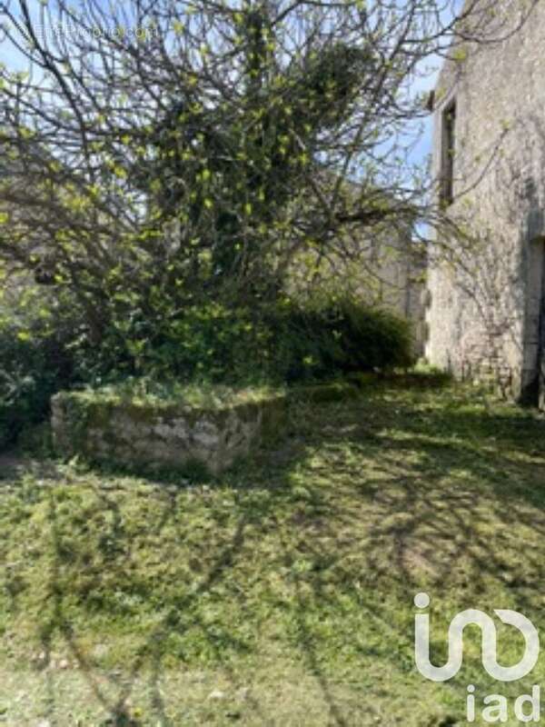 Photo 7 - Maison à SAINT-JEAN-D&#039;ANGELY