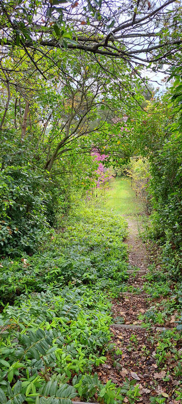 Maison à BOUC-BEL-AIR
