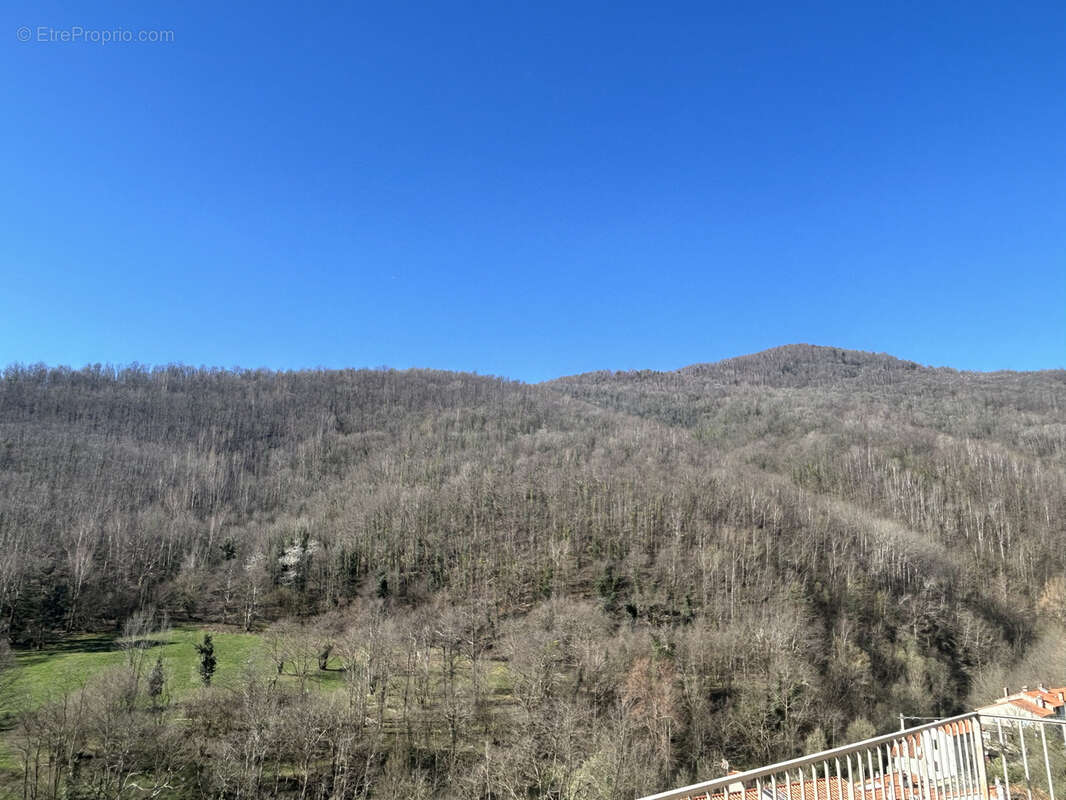 Maison à PRATS-DE-MOLLO-LA-PRESTE