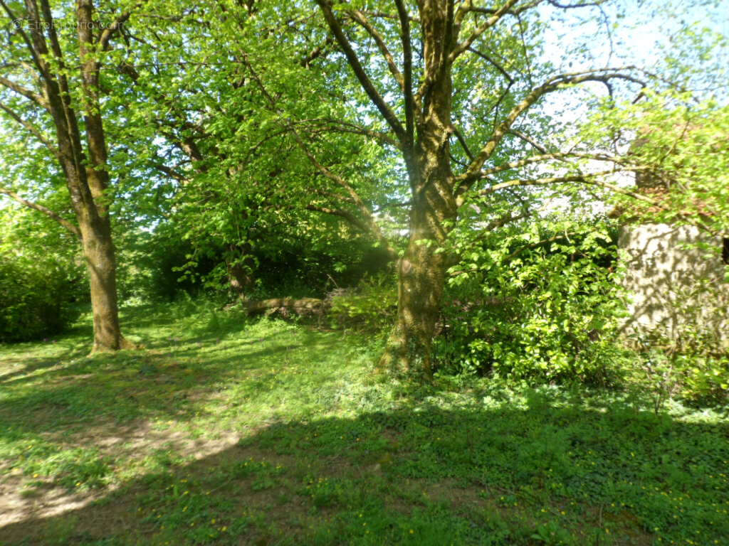 Maison à SAINT-PIERRE-DU-CHEMIN