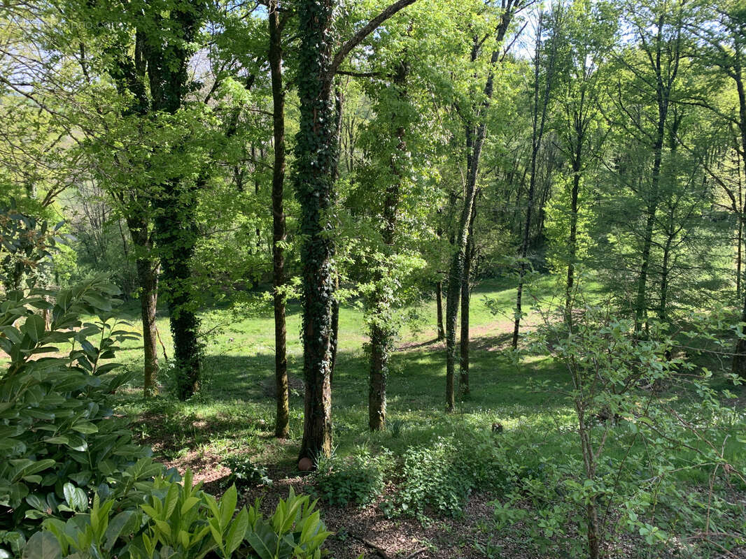 Maison à BRIGNAC-LA-PLAINE