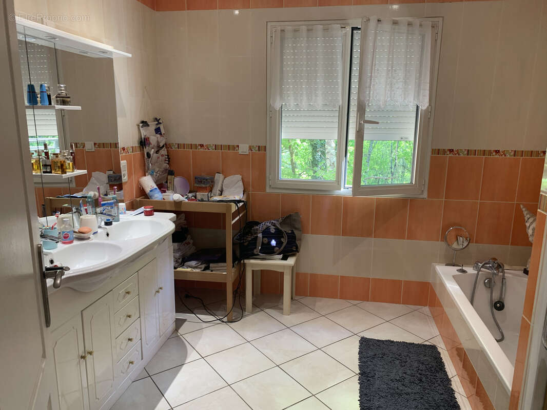 Maison à BRIGNAC-LA-PLAINE