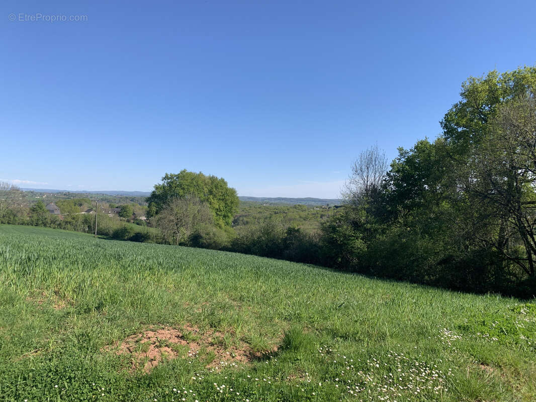 Maison à BRIGNAC-LA-PLAINE