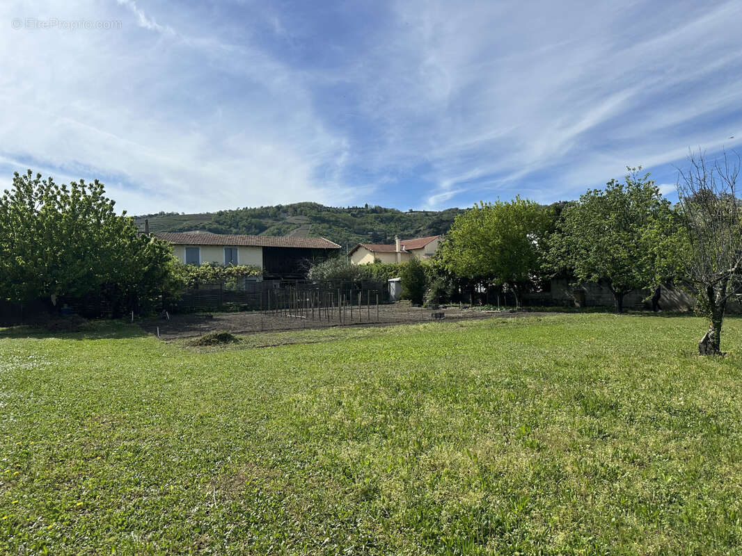 Terrain à TOURNON-SUR-RHONE