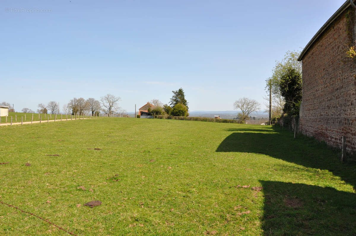 Terrain à MONTAIGUET-EN-FOREZ