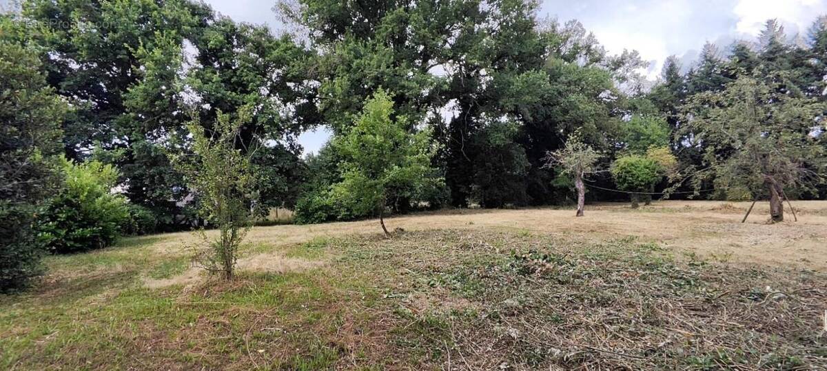 Photo 1 - Terrain à MONTROND-LES-BAINS